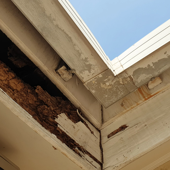ceiling with termite damage glendale az